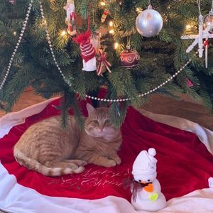 Meet your Posher, Rachelle